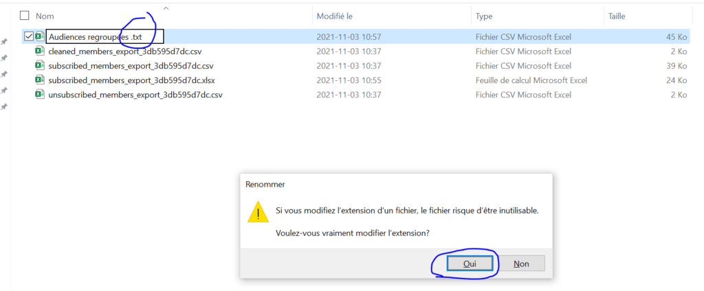 Fenêtre pour confirmer la modification de l'extension. Cochez oui