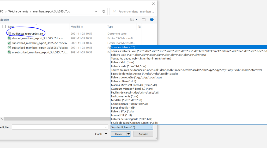 Menu pop up pour choisir d'afficher Tous les fichiers (*.*)