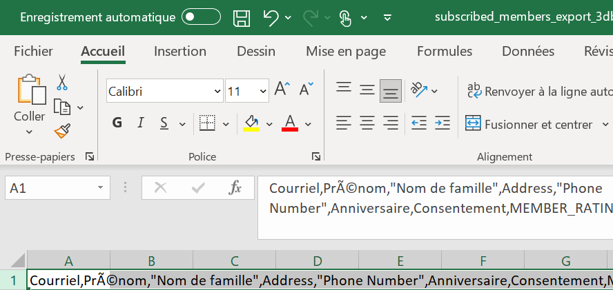 Champ de description dans un fichier Excel, avec des erreurs dans les accents