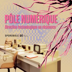 Sporobole (et sa branche de services 0/1 – Hub numérique) est officiellement reconnu comme l’un des six « pôles numériques » financés par le Conseil des arts et des lettres du Québec (CALQ)